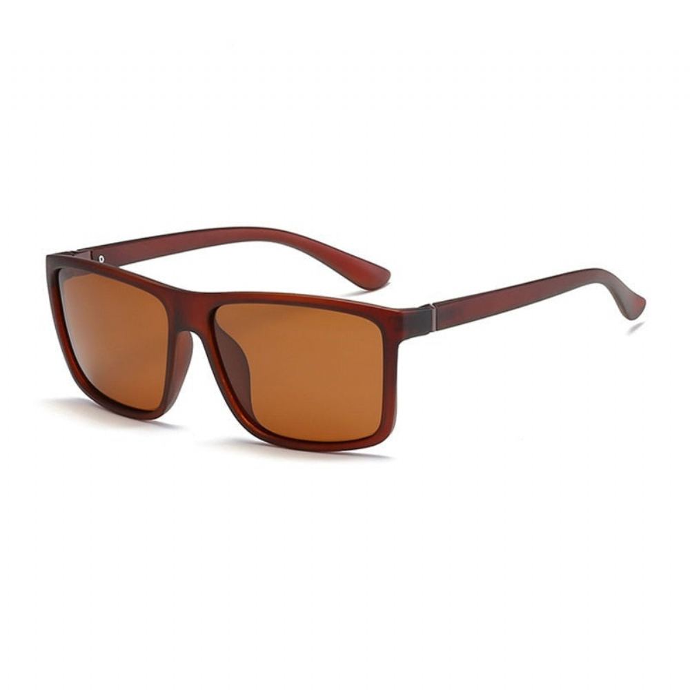 Brand Classic Square Polarisoidut Aurinkolasit